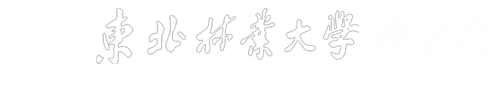 2026国际足联世界杯